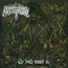 Ancestral Malediction