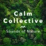 Calm Collective