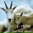 X-treme