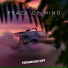 Reminiscor