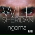 Will Sheridan