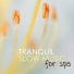 Tranquil Music Sound of Nature