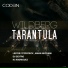 Wildberg