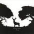 The Deer Tracks