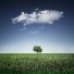 Relaxing Music Therapy, Zen Music Garden, Reiki