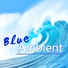 Blue Moonlight Experience