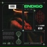 Endigo