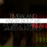 Timbaland