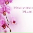 No Stress Ensemble & Massage Tribe & Massage Music