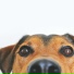 Calming Music for Dogs, Sleepy Dogs, Relaxmydog