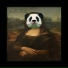 Youth Panda