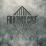 FARADAY CAGE