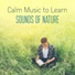 Exam Study Music Academy
