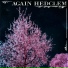 Hedclem