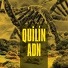 Quili n ADN