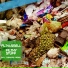 Filth & Smell