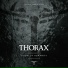 Thorax