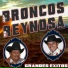 Los broncos de reynosa