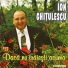 Ion Ghițulescu