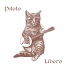 Pilote feat. Clemency Jones