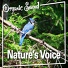 Organic Sound