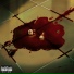 mgk CORPSE