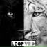 LEOPVRD x BEVST BEVT