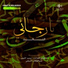 mulla