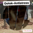 Gotek