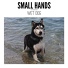Small Hands