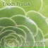 Enoch Prusak feat. Perpetual Loop