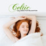 Celtic Chillout Relaxation Academy