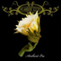 The Ambient Society