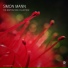 Simon Mann