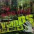 VoidDS feat. Benji
