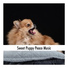 Doggy Calm