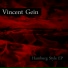 Vincent Gein