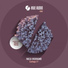 Vander, Lev Tatarov, Soundshapes