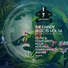Nolek