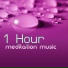 Wellness Media