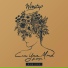 Wingtip, Morgxn