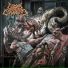 Guttural Corpora Cavernosa