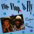 John Cephas and Phil Wiggins