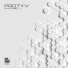 Protyv