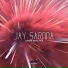 Jay Sarma