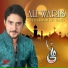 Syed Farhan Ali Waris