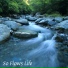 Sweety Life