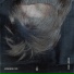 Numen