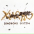 DINGDONG SYSTEM, Xhulotek