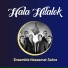 Ensemble Nassamat Sahra